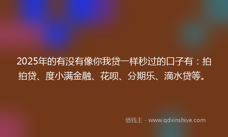 2025年的有没有像你我贷一样秒过的口子有：拍拍贷、度小满金融、花呗、分期乐、滴水贷等。