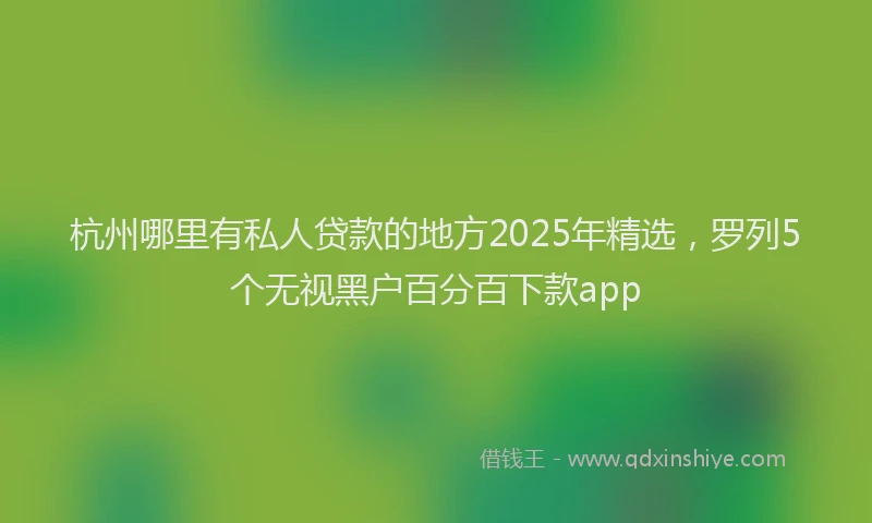 杭州哪里有私人贷款的地方2025年精选，罗列5个无视黑户百分百下款app