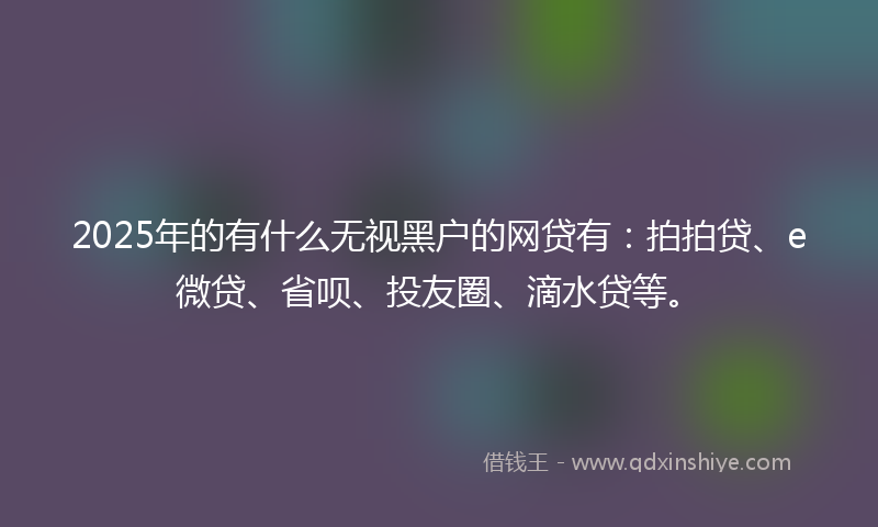 2025年的有什么无视黑户的网贷有：拍拍贷、e微贷、省呗、投友圈、滴水贷等。