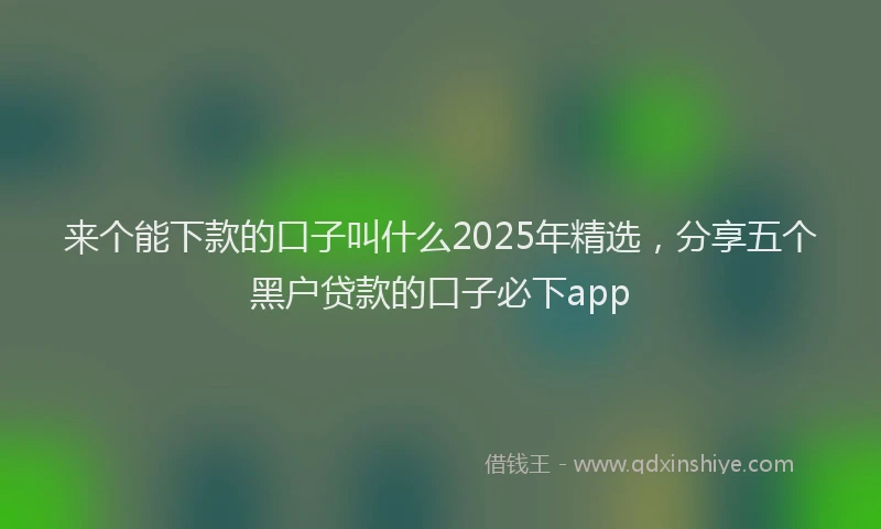 来个能下款的口子叫什么2025年精选，分享五个黑户贷款的口子必下app