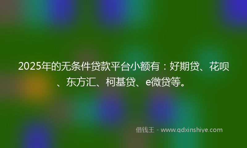 2025年的无条件贷款平台小额有：好期贷、花呗、东方汇、柯基贷、e微贷等。