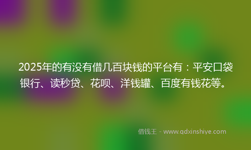 2025年的有没有借几百块钱的平台有：平安口袋银行、读秒贷、花呗、洋钱罐、百度有钱花等。