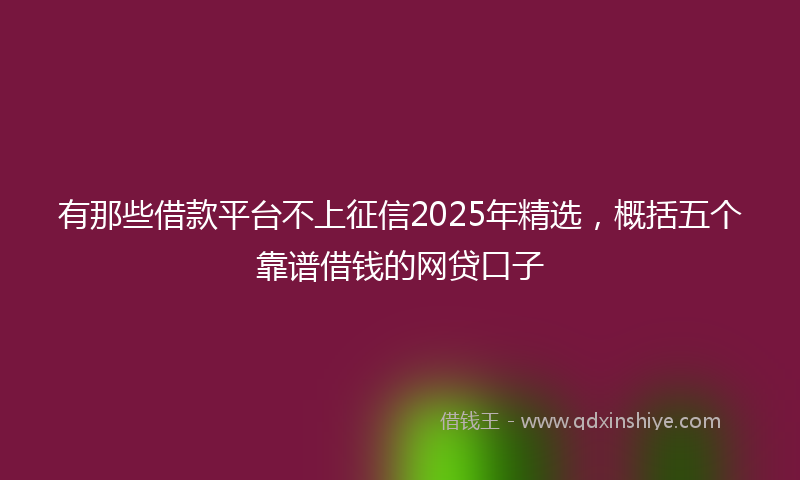 有那些借款平台不上征信2025年精选，概括五个靠谱借钱的网贷口子