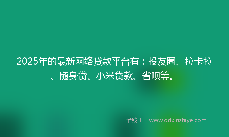 2025年的最新网络贷款平台有：投友圈、拉卡拉、随身贷、小米贷款、省呗等。