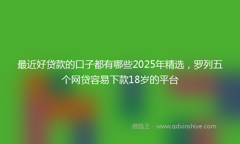 最近好贷款的口子都有哪些2025年精选，罗列五个网贷容易下款18岁的平台