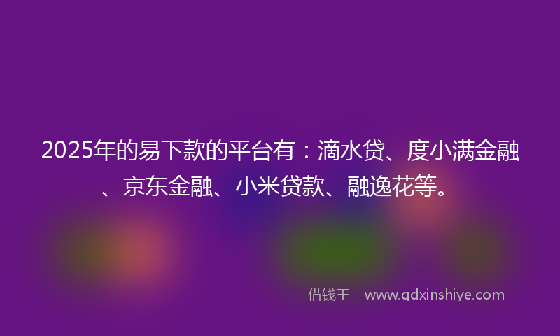 2025年的易下款的平台有：滴水贷、度小满金融、京东金融、小米贷款、融逸花等。