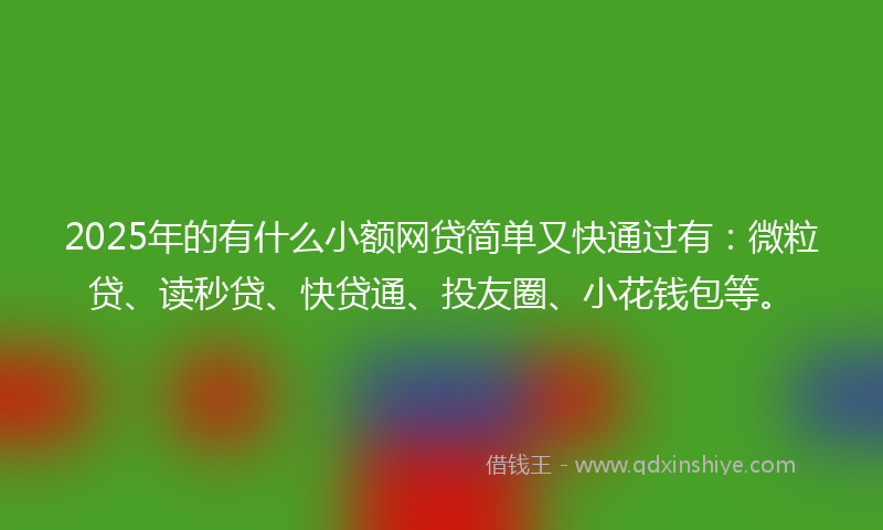 2025年的有什么小额网贷简单又快通过有：微粒贷、读秒贷、快贷通、投友圈、小花钱包等。