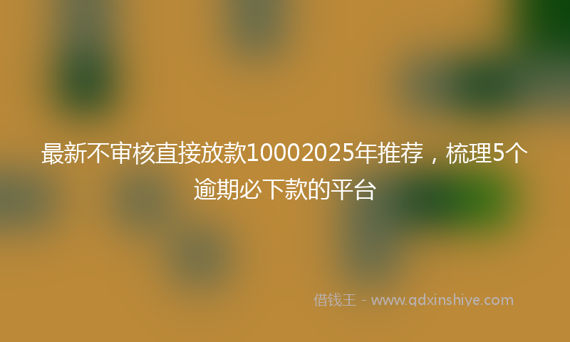 最新不审核直接放款10002025年推荐，梳理5个逾期必下款的平台