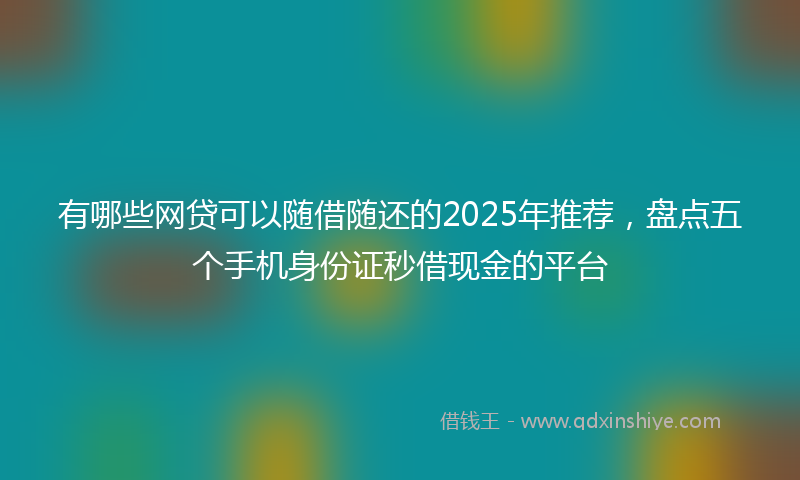 有哪些网贷可以随借随还的2025年推荐，盘点五个手机身份证秒借现金的平台
