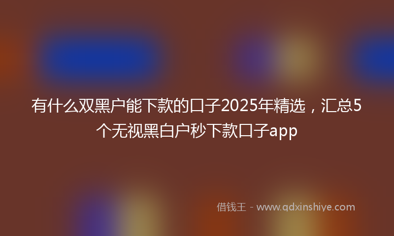 有什么双黑户能下款的口子2025年精选，汇总5个无视黑白户秒下款口子app