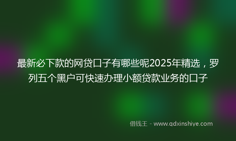 最新必下款的网贷口子有哪些呢2025年精选，罗列五个黑户可快速办理小额贷款业务的口子