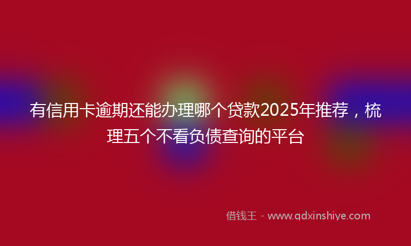 有信用卡逾期还能办理哪个贷款2025年推荐，梳理五个不看负债查询的平台