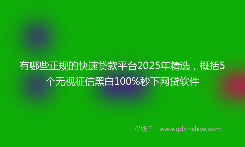 有哪些正规的快速贷款平台2025年精选，概括5个无视征信黑白100%秒下网贷软件