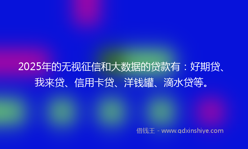2025年的无视征信和大数据的贷款有：好期贷、我来贷、信用卡贷、洋钱罐、滴水贷等。