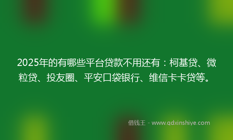 2025年的有哪些平台贷款不用还有：柯基贷、微粒贷、投友圈、平安口袋银行、维信卡卡贷等。