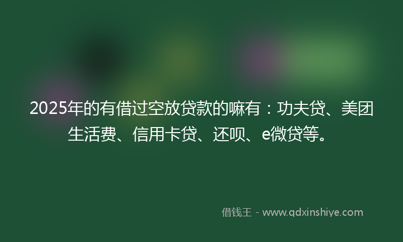 2025年的有借过空放贷款的嘛有：功夫贷、美团生活费、信用卡贷、还呗、e微贷等。