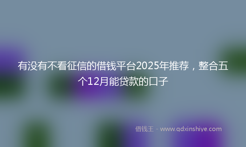 有没有不看征信的借钱平台2025年推荐，整合五个12月能贷款的口子