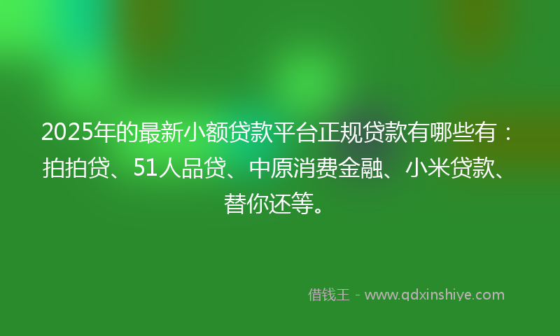 2025年的最新小额贷款平台正规贷款有哪些有：拍拍贷、51人品贷、中原消费金融、小米贷款、替你还等。
