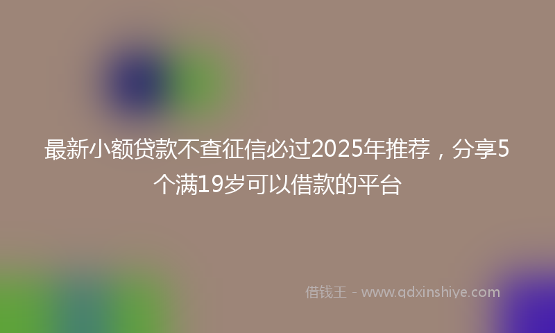 最新小额贷款不查征信必过2025年推荐，分享5个满19岁可以借款的平台