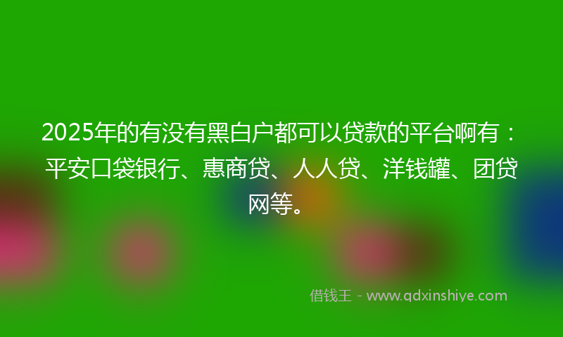 2025年的有没有黑白户都可以贷款的平台啊有：平安口袋银行、惠商贷、人人贷、洋钱罐、团贷网等。