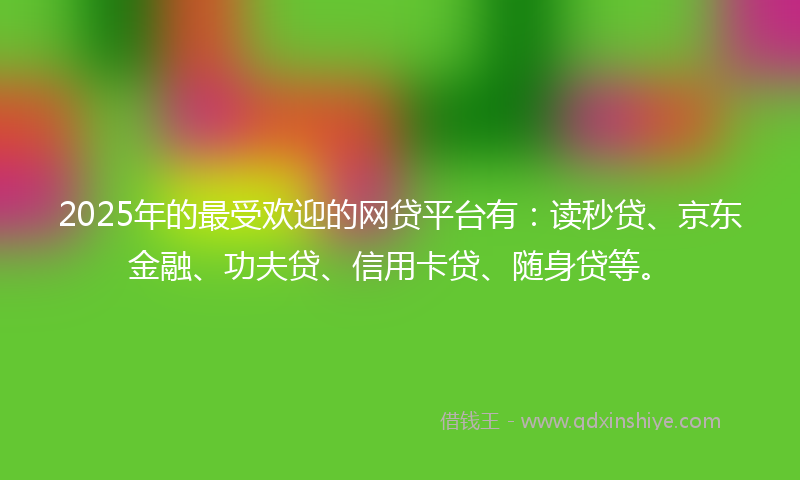 2025年的最受欢迎的网贷平台有：读秒贷、京东金融、功夫贷、信用卡贷、随身贷等。