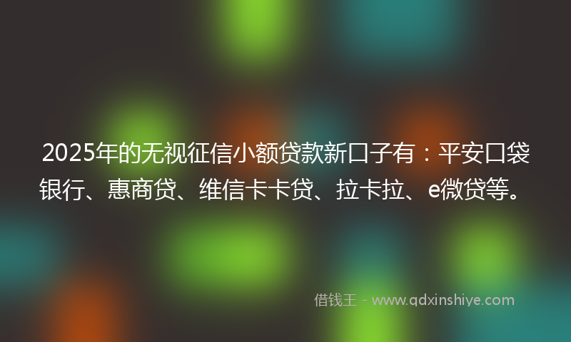 2025年的无视征信小额贷款新口子有：平安口袋银行、惠商贷、维信卡卡贷、拉卡拉、e微贷等。