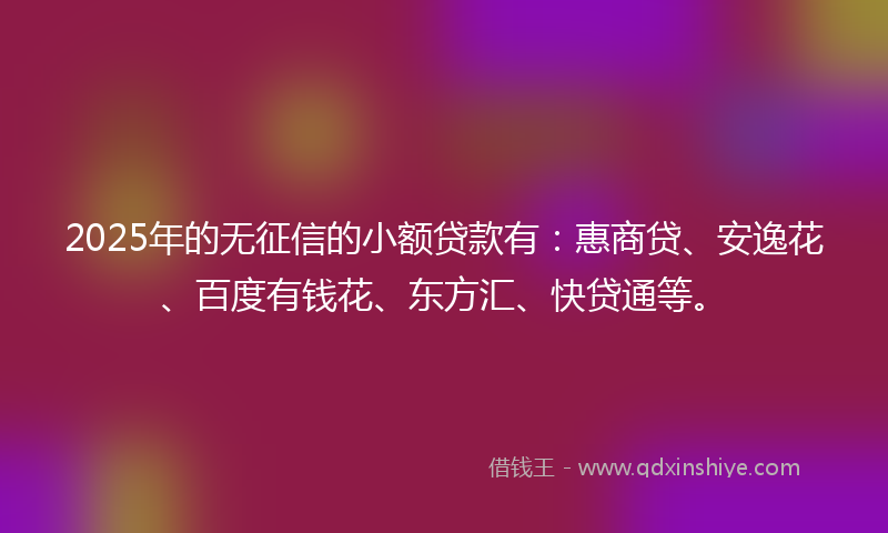 2025年的无征信的小额贷款有：惠商贷、安逸花、百度有钱花、东方汇、快贷通等。