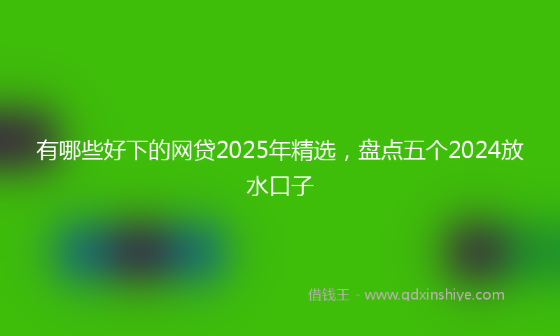 有哪些好下的网贷2025年精选，盘点五个2024放水口子