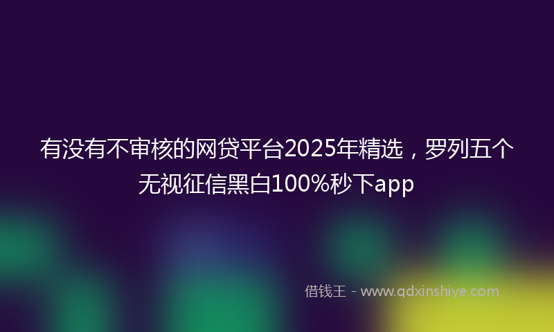 有没有不审核的网贷平台2025年精选，罗列五个无视征信黑白100%秒下app