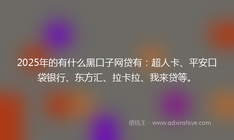 2025年的有什么黑口子网贷有：超人卡、平安口袋银行、东方汇、拉卡拉、我来贷等。