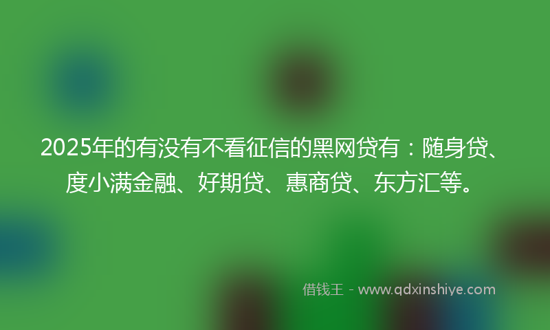 2025年的有没有不看征信的黑网贷有：随身贷、度小满金融、好期贷、惠商贷、东方汇等。