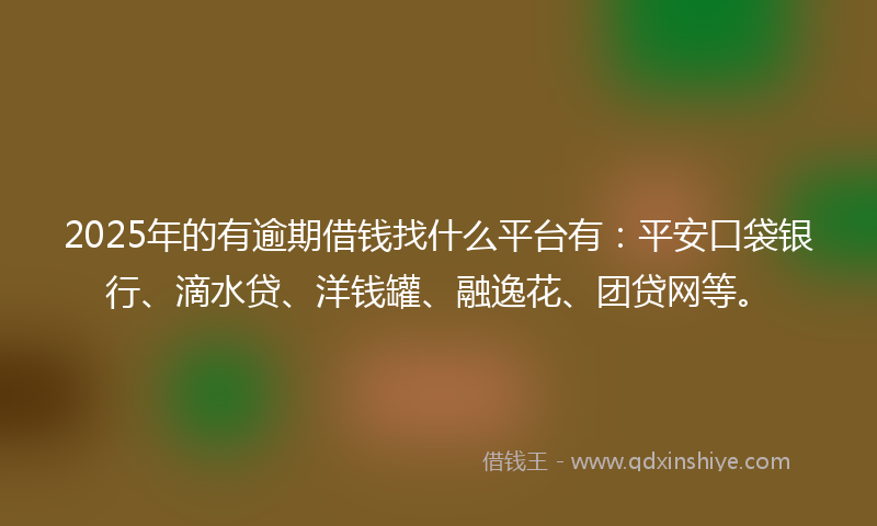 2025年的有逾期借钱找什么平台有：平安口袋银行、滴水贷、洋钱罐、融逸花、团贷网等。