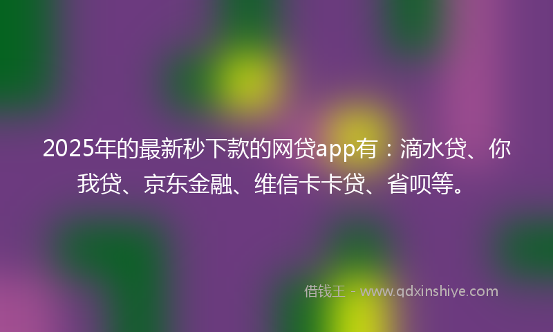 2025年的最新秒下款的网贷app有：滴水贷、你我贷、京东金融、维信卡卡贷、省呗等。