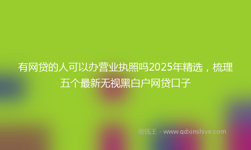 有网贷的人可以办营业执照吗2025年精选，梳理五个最新无视黑白户网贷口子