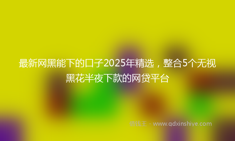 最新网黑能下的口子2025年精选，整合5个无视黑花半夜下款的网贷平台