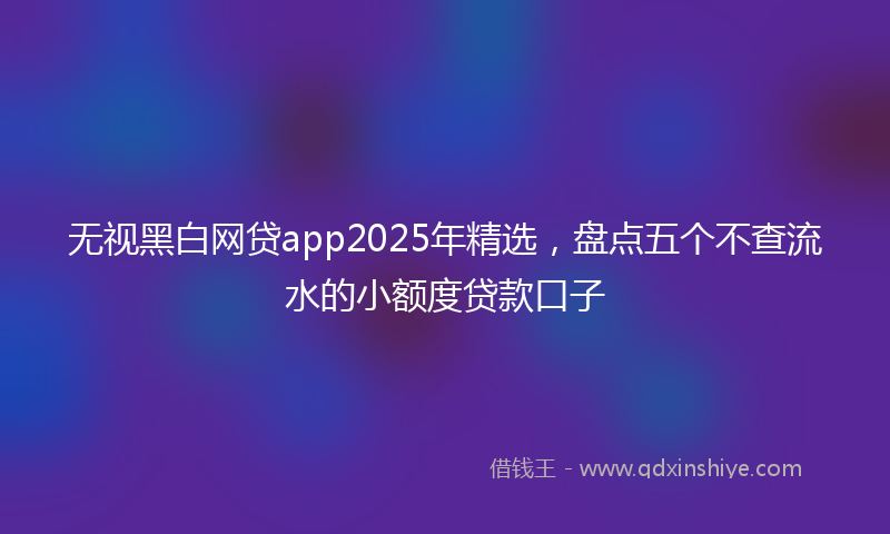 无视黑白网贷app2025年精选，盘点五个不查流水的小额度贷款口子