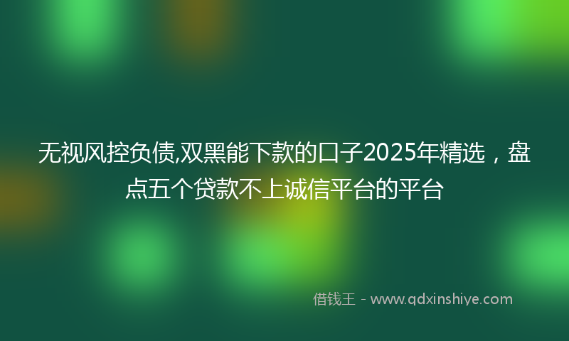 无视风控负债,双黑能下款的口子2025年精选，盘点五个贷款不上诚信平台的平台