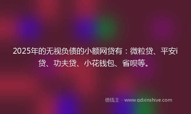 2025年的无视负债的小额网贷有：微粒贷、平安i贷、功夫贷、小花钱包、省呗等。