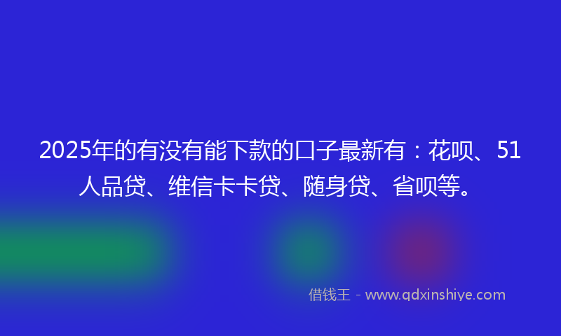 2025年的有没有能下款的口子最新有：花呗、51人品贷、维信卡卡贷、随身贷、省呗等。