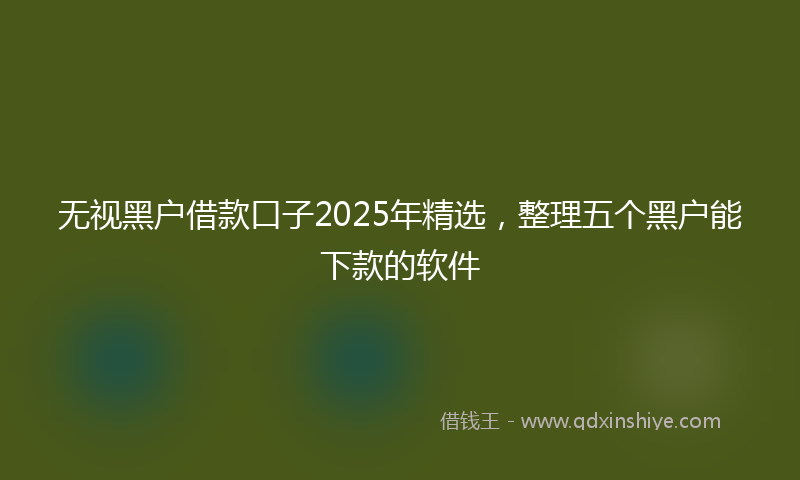 无视黑户借款口子2025年精选，整理五个黑户能下款的软件