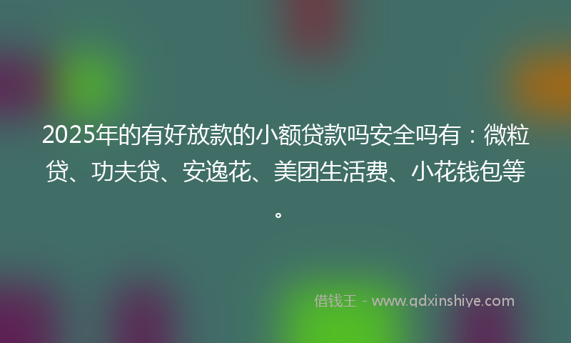 2025年的有好放款的小额贷款吗安全吗有：微粒贷、功夫贷、安逸花、美团生活费、小花钱包等。