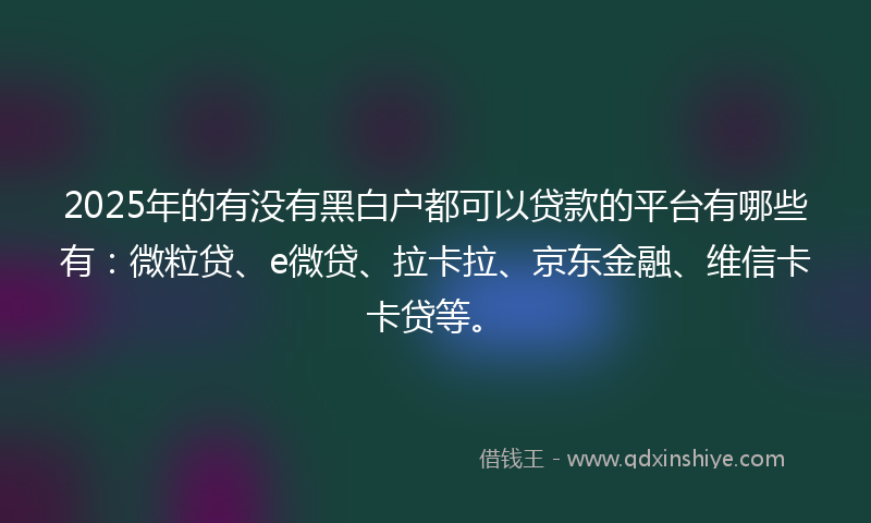2025年的有没有黑白户都可以贷款的平台有哪些有：微粒贷、e微贷、拉卡拉、京东金融、维信卡卡贷等。