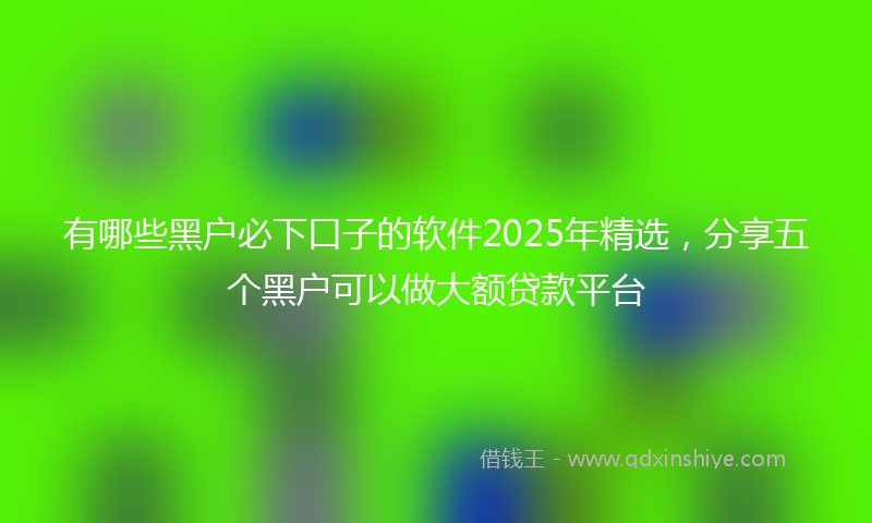有哪些黑户必下口子的软件2025年精选，分享五个黑户可以做大额贷款平台