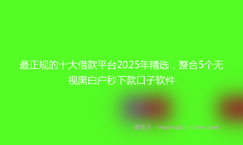 最正规的十大借款平台2025年精选，整合5个无视黑白户秒下款口子软件
