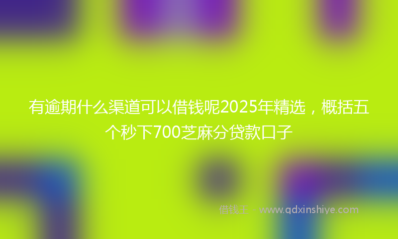 有逾期什么渠道可以借钱呢2025年精选，概括五个秒下700芝麻分贷款口子