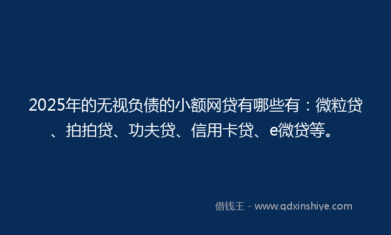 2025年的无视负债的小额网贷有哪些有：微粒贷、拍拍贷、功夫贷、信用卡贷、e微贷等。