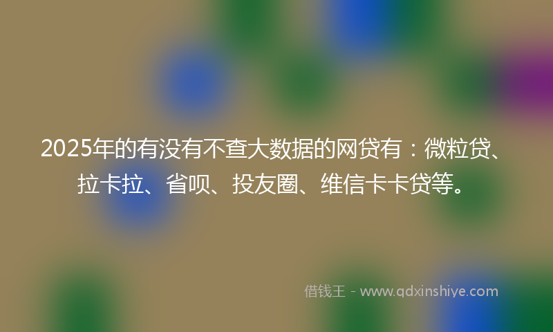 2025年的有没有不查大数据的网贷有：微粒贷、拉卡拉、省呗、投友圈、维信卡卡贷等。