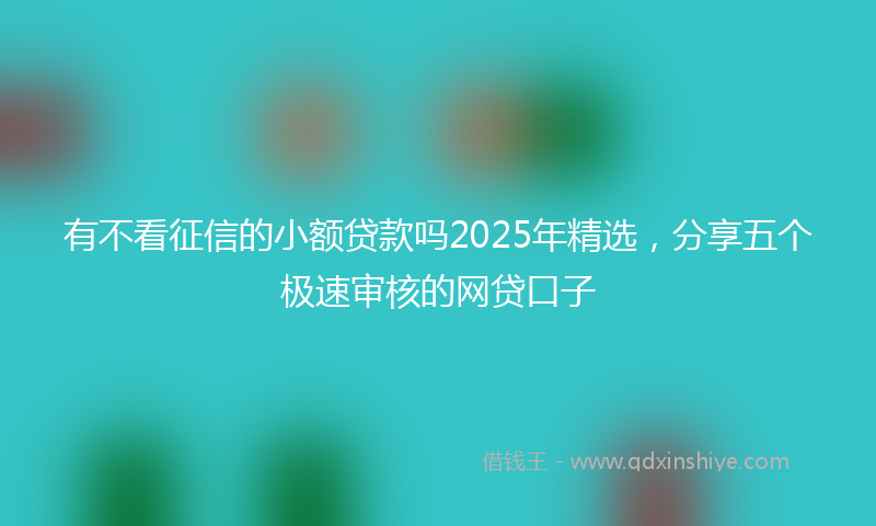 有不看征信的小额贷款吗2025年精选，分享五个极速审核的网贷口子