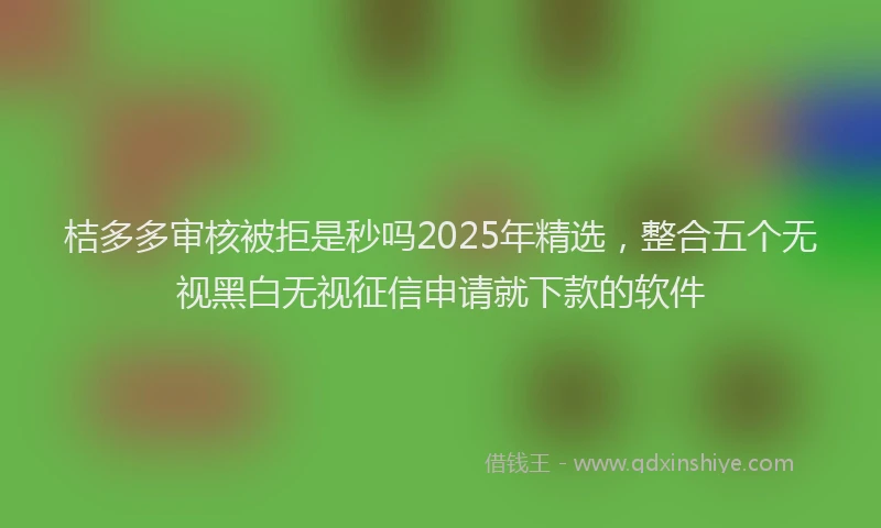 桔多多审核被拒是秒吗2025年精选，整合五个无视黑白无视征信申请就下款的软件
