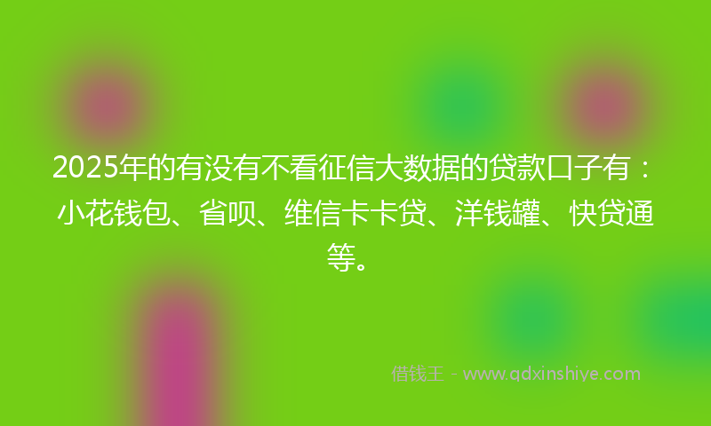 2025年的有没有不看征信大数据的贷款口子有：小花钱包、省呗、维信卡卡贷、洋钱罐、快贷通等。
